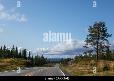 Excursion ensoleillée sur route de jour en scandinavie. Paysage naturel suédois avec autoroute. Arbres, montagnes, nuages pittoresques et chemin de voiture Banque D'Images