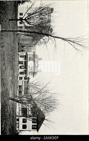 Historique de cent vingt ans, Auburn, NY. &gt;c ac 2;n ou. Banque D'Images