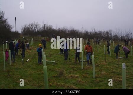 Des bénévoles travaillant avec un groupe d'action communautaire sur le climat et l'environnement plantant des arbres par une journée sombre pour créer un nouveau bois. Devon Royaume-Uni Banque D'Images