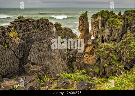 Pancake Rocks, Dolomite Point, Parc National De Paparoa, Près Du Village De Punakaiki, Région De La Côte Ouest, Île Du Sud, Nouvelle-Zélande Banque D'Images