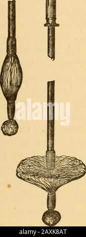 Maladies de la gorge et des passages nasaux; un guide pour le diagnostic et le traitement des affections du pharynx, du sophage, de la trachée, du larynx et des nares . corps étranger arrivesin le pharynx, son extraction peut être assistée par un index passé dans la bouche. Les poils de cheval sont facilement rup-turés, mais ils peuvent être facilement renouvelés où qu'il y ait un cheval, et leur ajustement exige peu de compétence. Lorsque le corps est de nature telle asthe Gold plate dans le cas rapporté, l'opération pro-per serait de le plier avec une paire forte de forceps et ensuite d'extractit. Avait une telle proce Banque D'Images