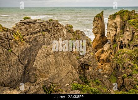 Pancake Rocks, Dolomite Point, Parc National De Paparoa, Près Du Village De Punakaiki, Région De La Côte Ouest, Île Du Sud, Nouvelle-Zélande Banque D'Images