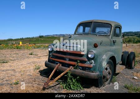 Vieux camion et équipement agricole sur un champ de citrouille dans le comté de Sonoma, Californie, États-Unis Banque D'Images