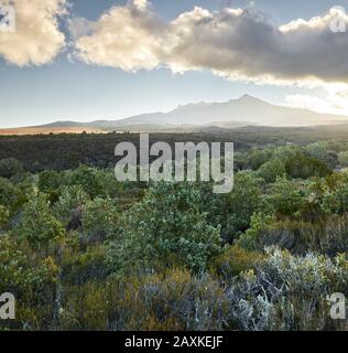 Coucher De Soleil Au Mont Ruapehu, Parc National De Tongariro, Manawatu-Manganui, Île Du Nord, Nouvelle-Zélande Banque D'Images