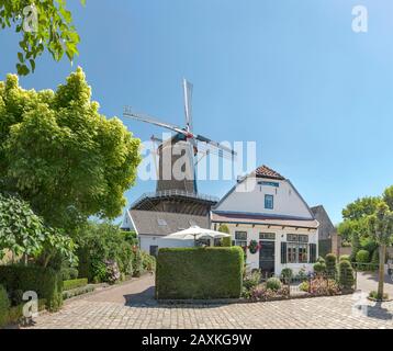 Floral appelé Rijn en Lek, Wijk bij Duurstede, Utrecht, Pays-Bas Banque D'Images