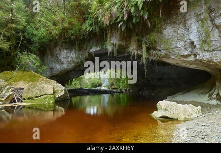 Arche De La Porte De Moria, Bassin D'Oparara, Parc National De Kahurangi, Côte Ouest, Île Du Sud, Nouvelle-Zélande, Océanie Banque D'Images