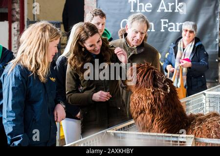 La duchesse de Cambridge frappe une alpaga lors d'une visite à l'Ark Open Farm, à Newtownards, près de Belfast, où elle a rencontré les parents et les grands-parents pour discuter de leur expérience de la collecte de jeunes enfants pour son enquête sur la petite enfance. Photo PA. Date De L'Image: Mercredi 12 Février 2020. Voir l'histoire de PA ROYAL Kate. Crédit photo devrait lire: Liam McBurney/PA Wire Banque D'Images