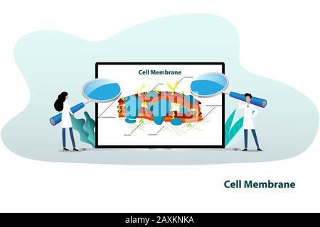 Concept de la science, le scientifique tient une grande loupe pour se concentrer sur l'écran de l'ordinateur portable qui contient la structure de la membrane cellulaire à discuter. Banque D'Images