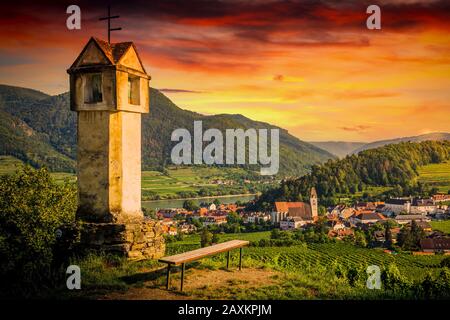 Vignes dans la vallée de Wachau sur les collines de la rive du Danube. Basse Autriche. Banque D'Images