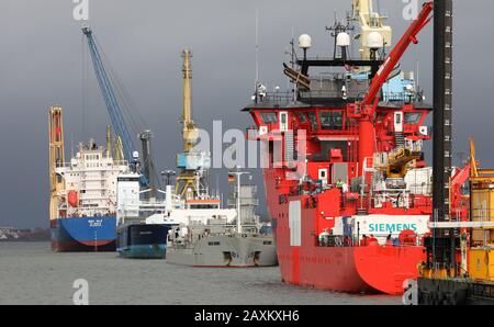 Rostock, Allemagne. 12 février 2020. Le port maritime de Rostock abrite des navires de fret et des navires de travail pour les travaux en mer. Crédit: Bernd Wüstneck/Dpa-Zentralbild/Dpa/Alay Live News Banque D'Images