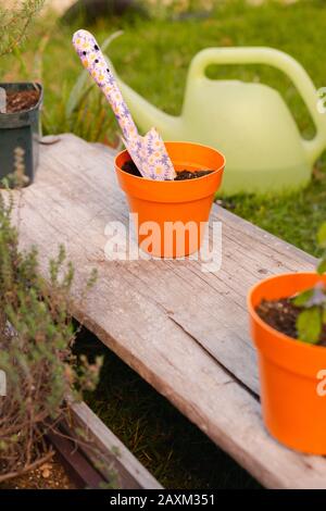 pelle rose de fleurs enfouie dans un pot du jardin de la maison Banque D'Images