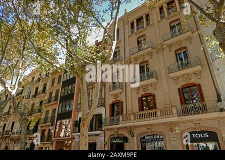 Passeig Del Born, Palma De Majorque, Majorque, Iles Baléares, Espagne Banque D'Images