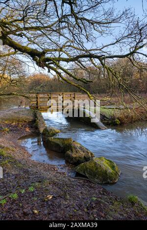 Étangs de Cannop dans la forêt de Dean, Gloucestershire. Banque D'Images