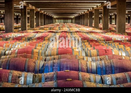 Tonneaux de vin dans la cave du domaine viticole de Campo Viejo à Logroño, en Espagne Banque D'Images