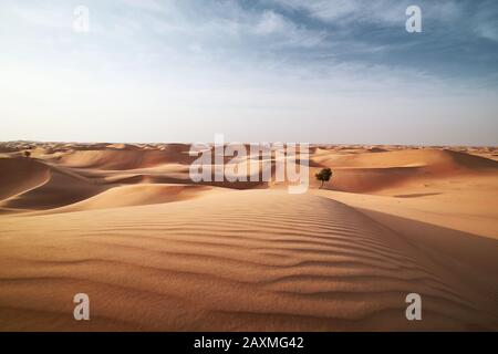 Dunes de sable dans le désert paysage. Abu Dhabi, Émirats Arabes Unis Banque D'Images