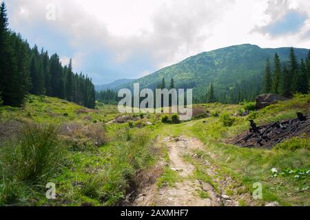 Paysage à travers les montagnes lors d'une journée d'été nuageux, filtrer Banque D'Images