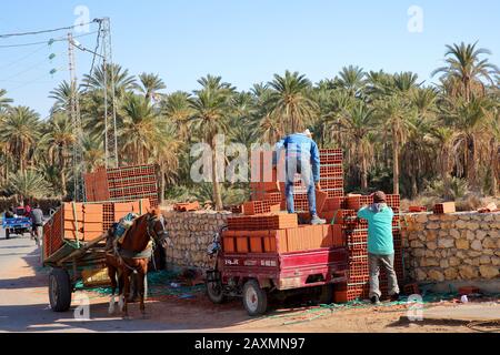 Tozeur, TUNISIE - 20 DÉCEMBRE 2019: Les travailleurs qui chargent des briques sur un chariot, avec la palmeraie en arrière-plan Banque D'Images