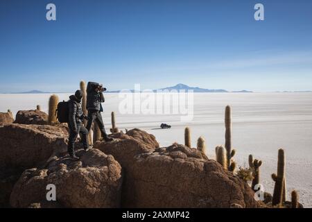 Photographier le champ de Cactus sur l'île incahuasi à Uyuni Banque D'Images