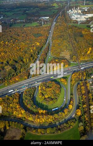 Vues aériennes, échangeur d'autoroute Bottrop, autoroute A 2, autoroute A 31, Friesenspieß, feuillage d'automne, bois d'automne, Eigen, Bottrop, Ruhr, Rhénanie-du-Nord Banque D'Images