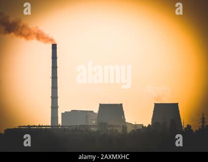 silhouette noire d'une plante au coucher du soleil aube gros plan, filtre Banque D'Images