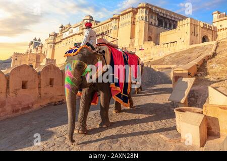 Équitation un éléphant dans fort Amber, Jaipur, Rajasthan, Inde Banque D'Images