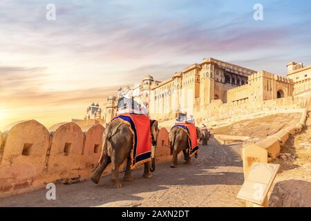 Touristes sur les éléphants à fort Amber, Jaipur, Rajasthan, Inde Banque D'Images