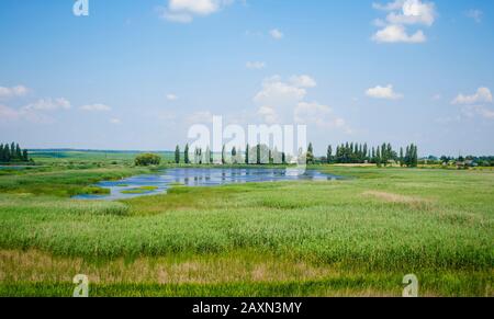 paysage du ciel avec des nuages et le lac surcultivé avec des roseaux été et une maison avec un toit rouge et des arbres à la distance Banque D'Images