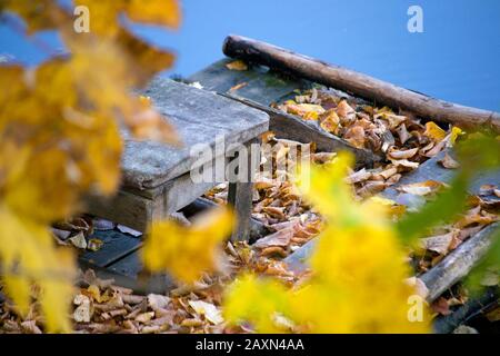 tabouret en bois tombé feuilles angle vieux peuplements Banque D'Images