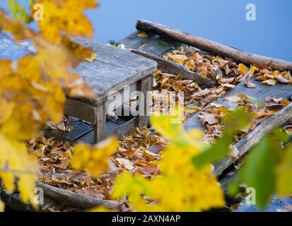 tabouret en bois tombé feuilles angle vieux peuplements Banque D'Images