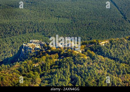 Photo aérienne, château et forteresse Regenstein, à Platenberg, Blankenburg (Harz), Blankenburg, cercle Paderborn, Saxe-Anhalt, Allemagne, Europe, Banque D'Images