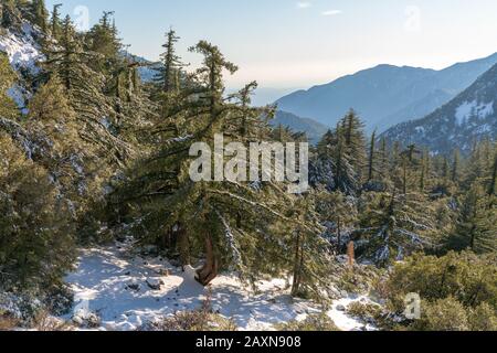 Mt. Baldy, Californie, recouverte de neige. Banque D'Images