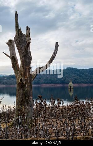 Arbre mort comme axe vertical sur marais, Catalogne Banque D'Images