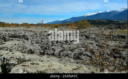 Le parc provincial Nisga'a Memorial Lava Bed est un parc provincial situé dans la vallée de la rivière Nass, dans le nord-ouest de la Colombie-Britannique, au Canada, à environ 80 kilomètres Banque D'Images