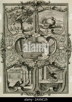 'Güldene Aepfel in silbernen Schalen, das ist, Worte geredet zu seiner Zeit über 400 Sinnbilder von allerley Zeiten und Umständen des menschlichen Lebens zu Beförderung der Erbauung' (1746) Banque D'Images
