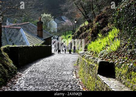 Clovelly, un village portuaire dans le district de Torridge de Devon, en Angleterre, est illustré. Sa rue principale pavée piétonnière, ses ânes et ses vues Banque D'Images