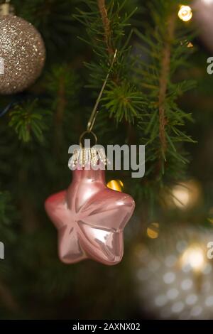 Arbre de Noël, Picea glauca conica, boule de Noël, radialement, gros plan moyen Banque D'Images