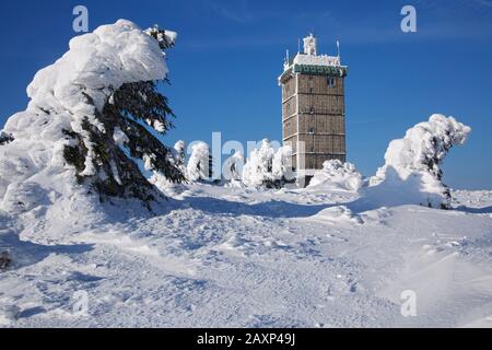 Avec un revêtement de neige, les spruces ont été bractées par la tempête devant la station météorologique du Brocken dans le Harz, Banque D'Images