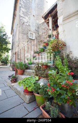 Pots de fleurs sur un escalier à Cres/Croatie Banque D'Images