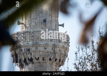 Regardez à travers le gommage sur la partie centrale d'un minaret avec des haut-parleurs et un mouette. Banque D'Images