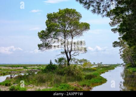 Lagune de Karavasta, Divjaka-Karavasta Qier Parc National, Fier, Albanie Banque D'Images
