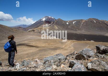 Randonneur mâle regardant le paysage pittoresque d'un champ de lave et d'un volcan Banque D'Images