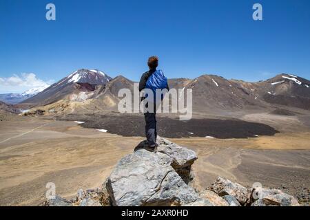 Randonneur mâle regardant le paysage pittoresque d'un champ de lave et d'un volcan Banque D'Images