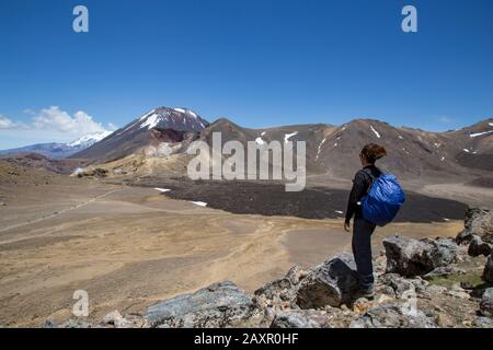 Randonneur mâle regardant le paysage pittoresque d'un champ de lave et d'un volcan Banque D'Images