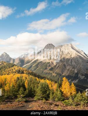 Pocaterra Ridge, dans le pays de Kananaskis, à l'automne près de Calgary, Alberta, Canada Banque D'Images