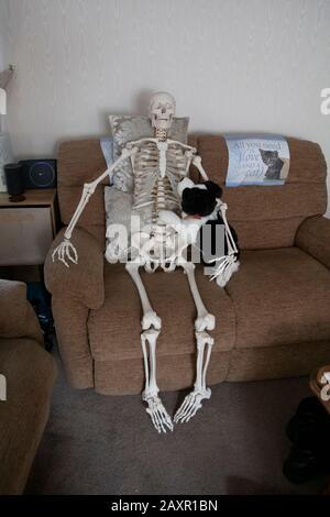 Skeleton s'est assis sur un canapé avec chien, Droitwich Spa, Angleterre, Royaume-Uni, 8/02/2020, Skeleton s'est assis sur un canapé avec le plaisir de chien pour Halloween idéal pour les affiches Banque D'Images