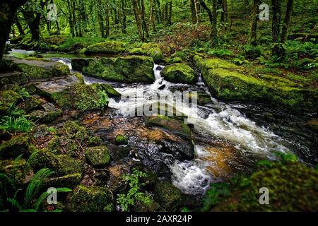Les chutes Golita près de Bodmin Moor, dans les Cornouailles, sont une série de cascades et de cascades spectaculaires le long d'une section de la rivière Fowey Banque D'Images