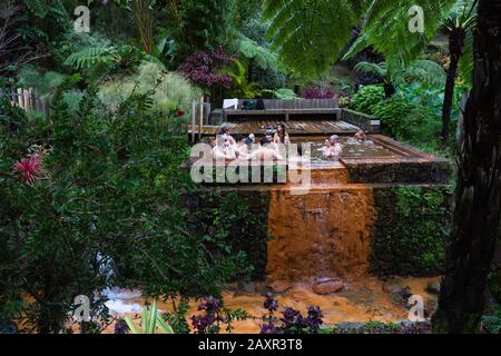 Sao Miguel, Açores - février 2020: Source chaude naturelle à 'Pocas da Dona Beija' où les gens nagent dans l'eau chaude de l'île de Sao Miguel, Açores, Portugal Banque D'Images