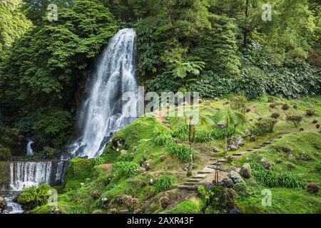 Vue sur le parc naturel de Ribeira dos Caldeiroes situé sur l'île de Sao Miguel, aux Açores, au Portugal. Banque D'Images