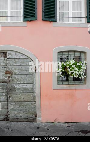 Les fleurs blanches ornent une fenêtre sur une maison rose à Lucques, Italie. Banque D'Images