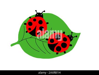 Illustration naïve, dessin pour enfants, coccinelles assis sur une feuille, Allemagne, Europe Banque D'Images